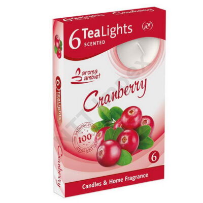 SNT6240GYIL Teamécses illatos 6db-os Cranberry