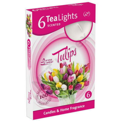 SNT6321GYIL Teamécses illatos 6db-os Tulips