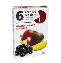 ADM2189GYIL Teamécses illatos A6 6db-os Black Currant-Mango