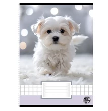 KLD0362PIIS A4 spirálfüzet kockás Puppy