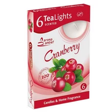 SNT6240GYIL Teamécses illatos 6db-os Cranberry