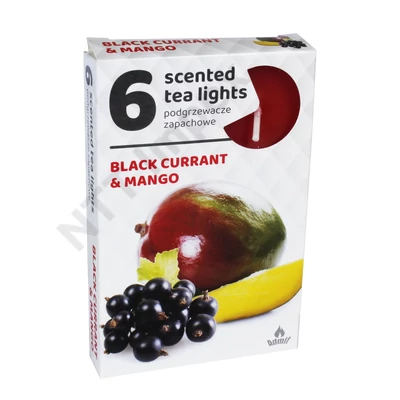 ADM2189GYIL Teamécses illatos A6 6db-os Black Currant-Mango