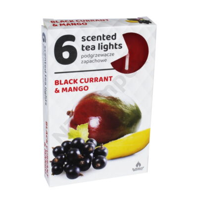 ADM2189GYIL Teamécses illatos A6 6db-os Black Currant-Mango