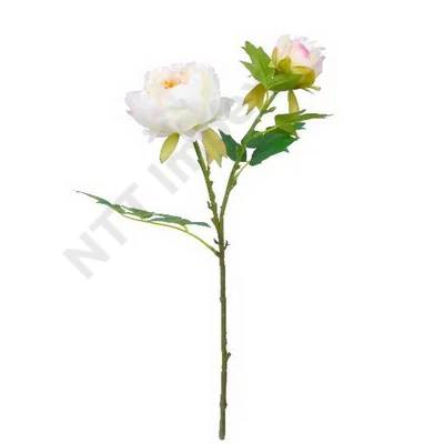DDK1378LDLK Selyemvirág Peonia virág 60cm fehér  DD61378