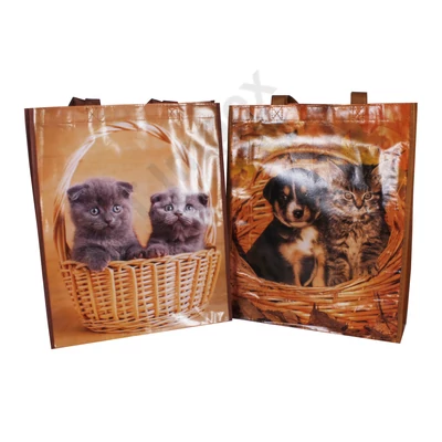 HKS0162HKTX BEVÁSÁRLÓ TÁSKA 32x39x10cm Cicák HKS-0162