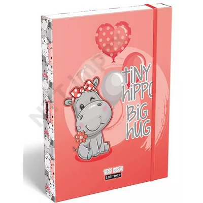 LZC1294PIIS Fűzetbox A/5 Lollipop Tiny Hyppo