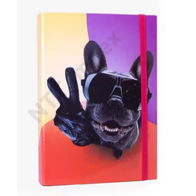 NBT8846PIIS Füzetbox, A5, cool bulldog, Nebulo