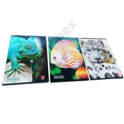 PTR8986PIIS Füzet Pigna Animals A/5 tüzött 42 lapos kockás