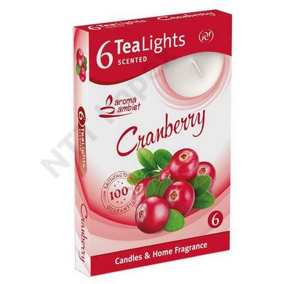 SNT6240GYIL Teamécses illatos 6db-os Cranberry