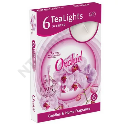 SNT6324GYIL Teamécses illatos 6db-os Orchid