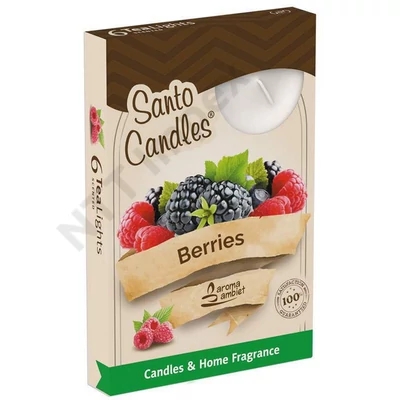 SNT0519GYIL Teamécses illatos 6db-os Berries