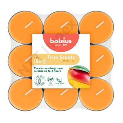 BLS5153GYIL Bolsius illattos teaméces 4hr 18db/cs MAN
